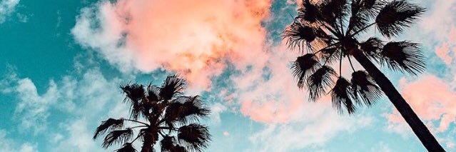 SRachida's profile banner image