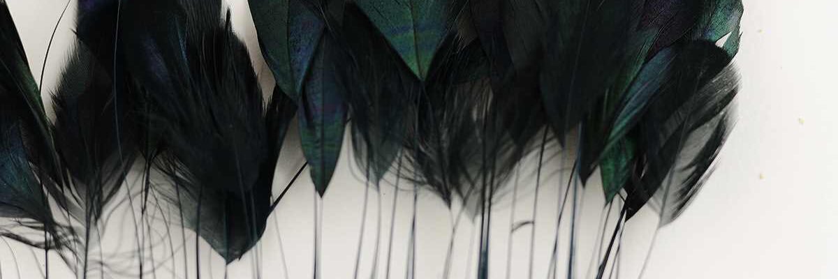 Victorian__'s profile banner image