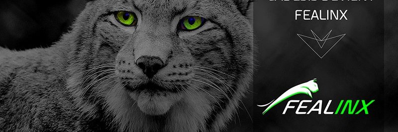 Raboudi_Amel's profile banner image