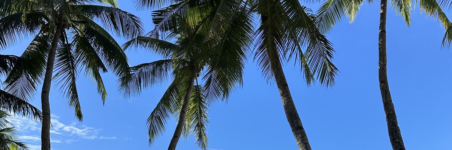 seaacel's profile banner image