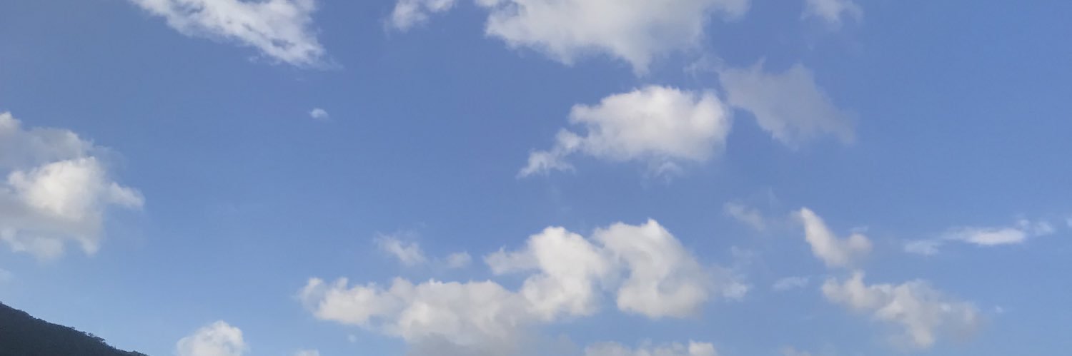 SarcasmTaf's profile banner image