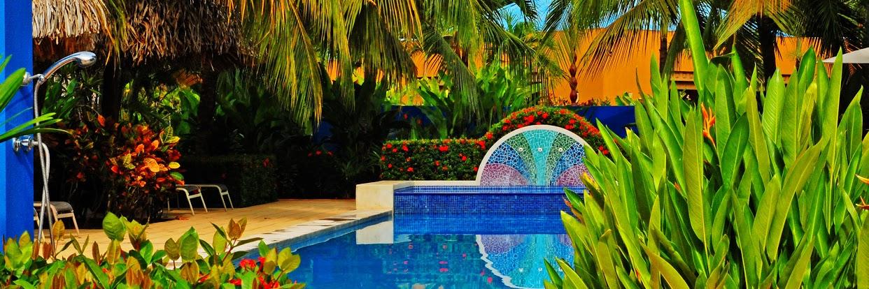 AlmadelPacifico's profile banner image