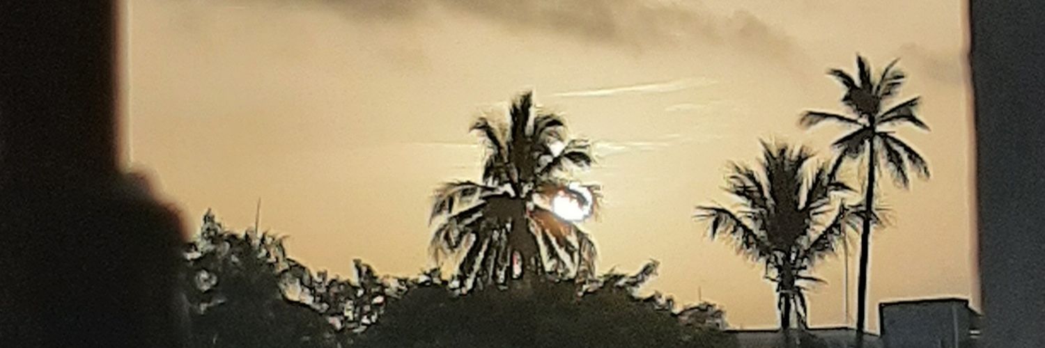 zabrewolph's profile banner image