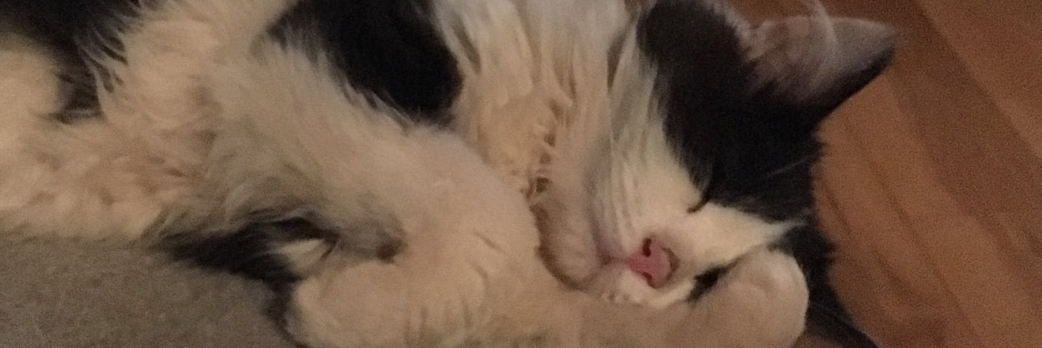 gaelbee's profile banner image