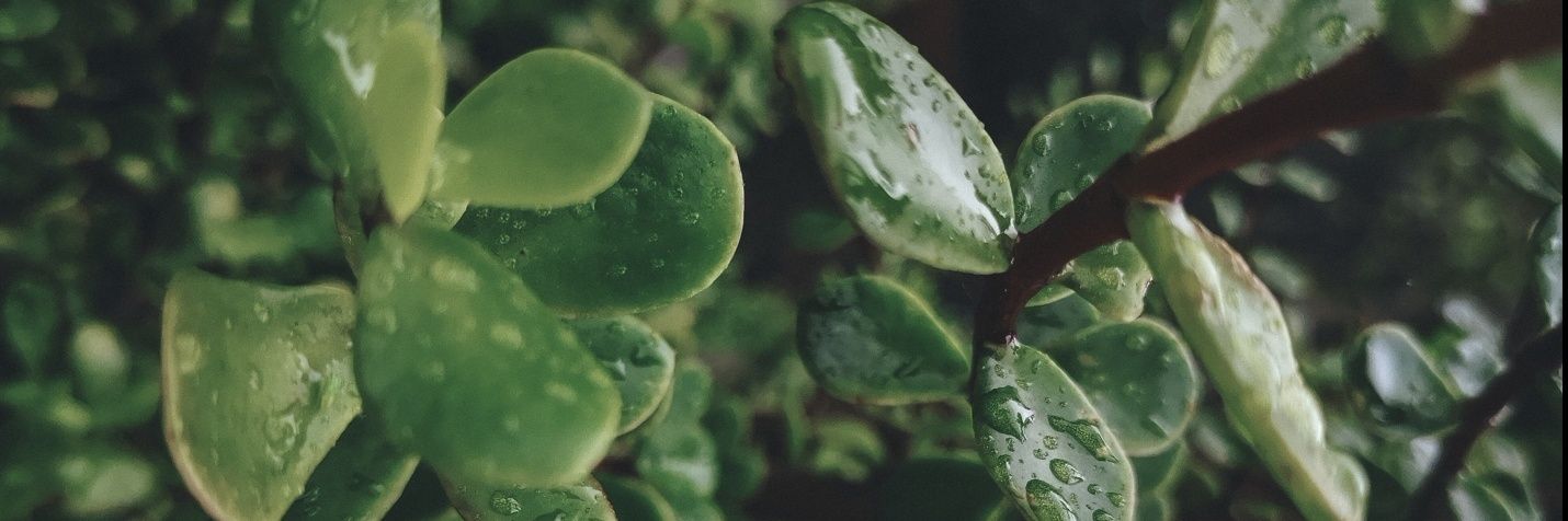 janigerber's profile banner image