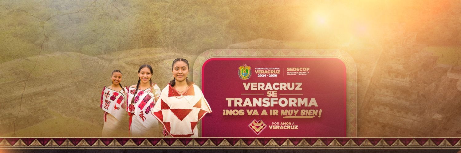 Desarrollo Económico y Portuario Veracruz banner