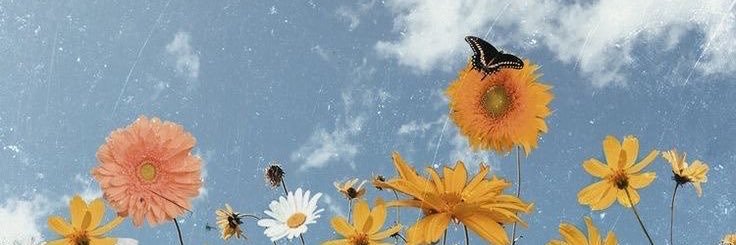 LindsayRenata's profile banner image