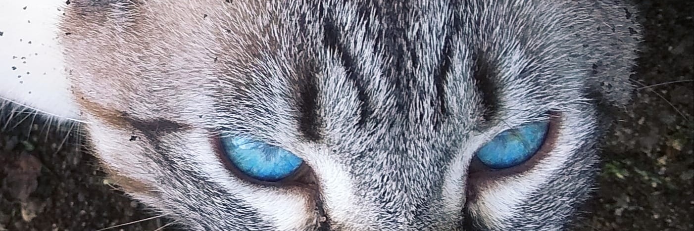 barcida68's profile banner image