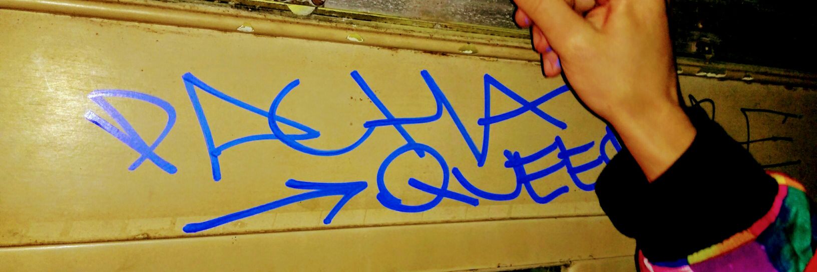 P A C H A Q U E E R banner