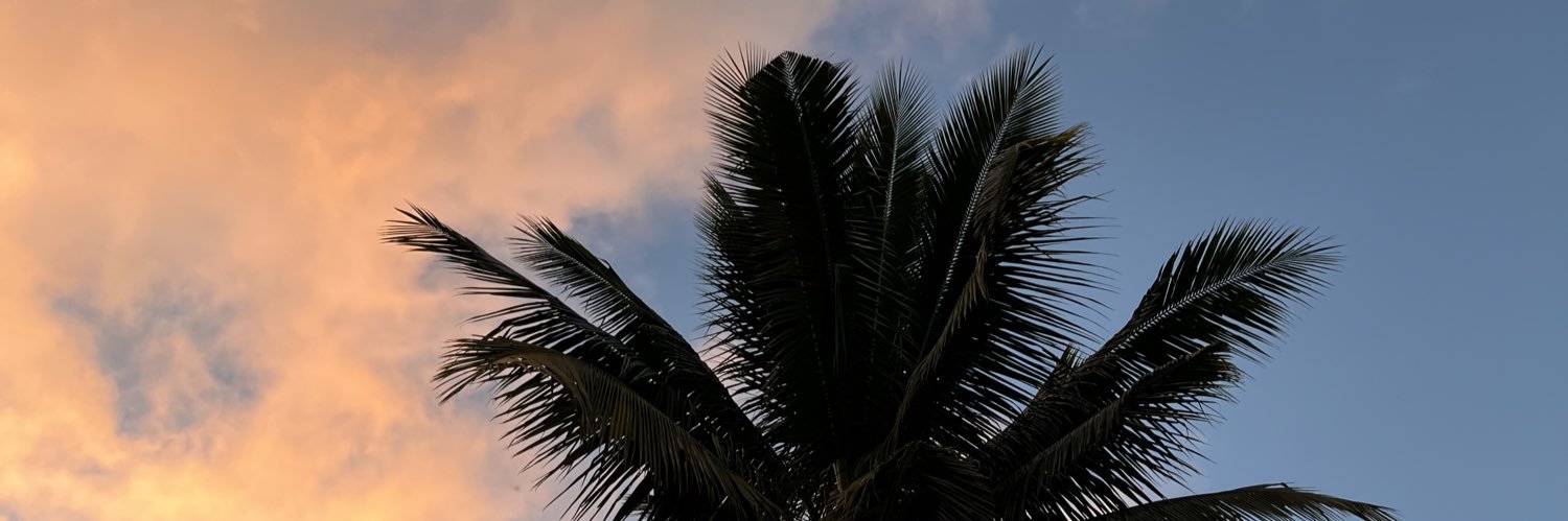 Rhombeee's profile banner image