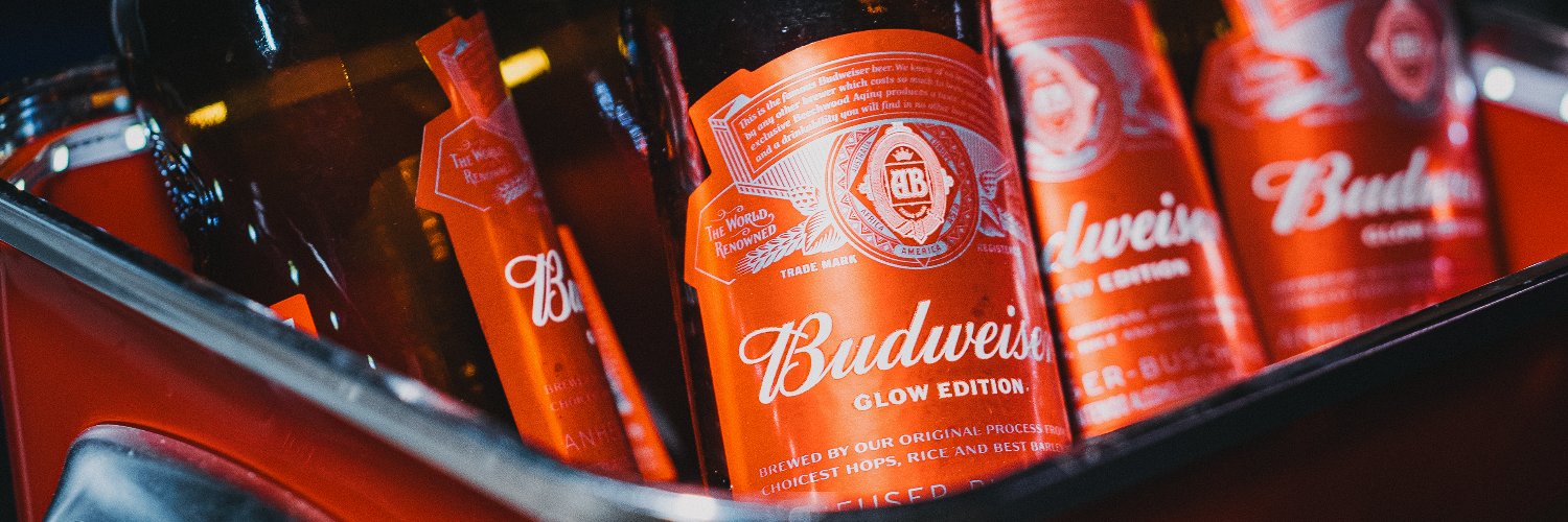 Budweiser Argentina banner