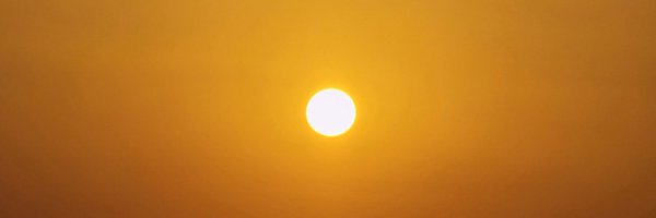 ektaagnihotri4 Profile Banner