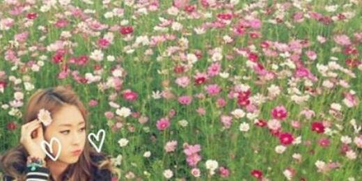 rckwooj's profile banner image