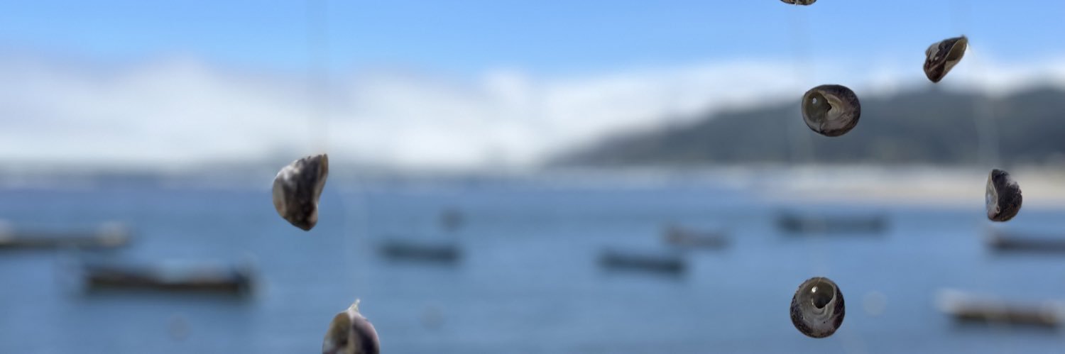 Alejandra Kantor banner