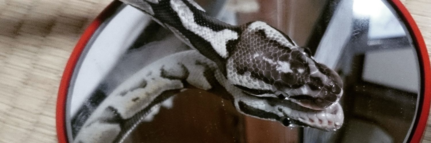 kyo_m12's profile banner image