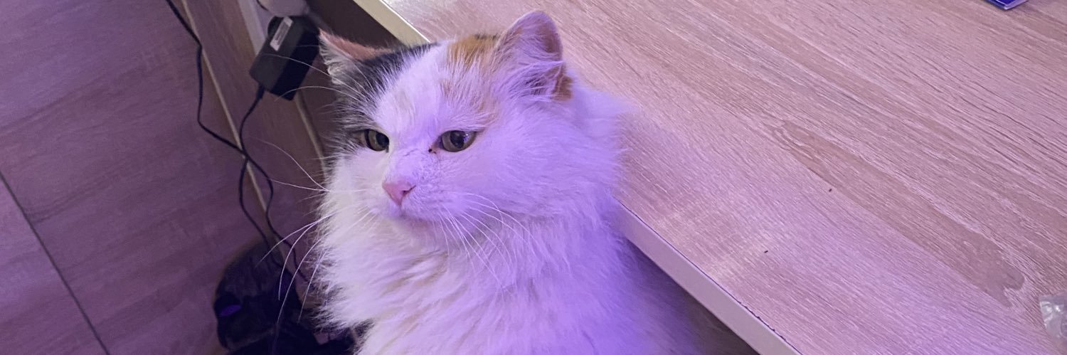 cihankirtik's profile banner image