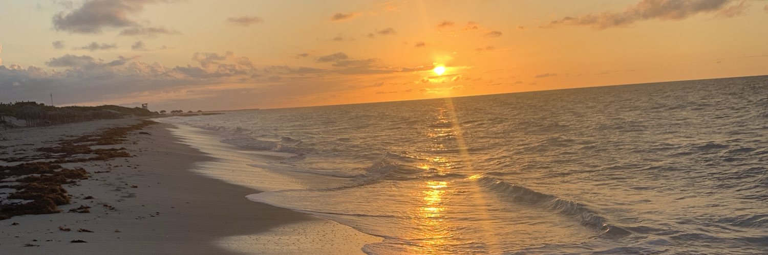 MeaghanBoudreau's profile banner image