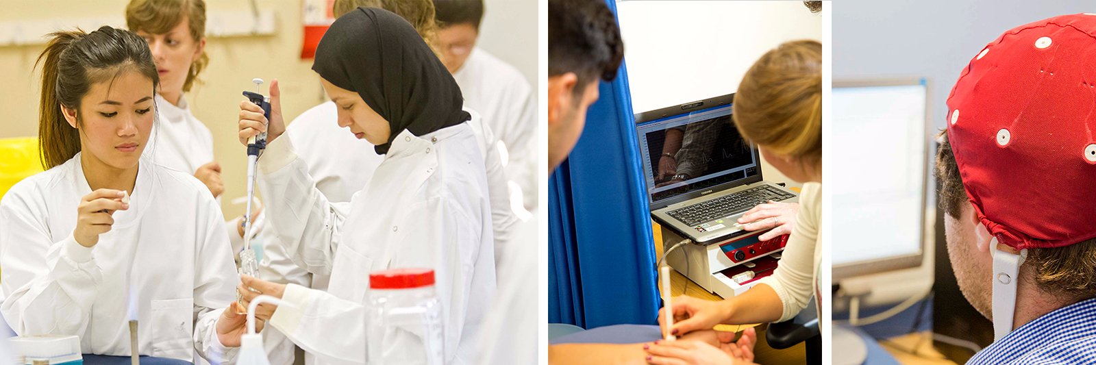 Health Sciences banner