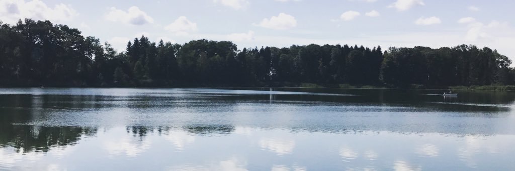 TanjaBertholet's profile banner image