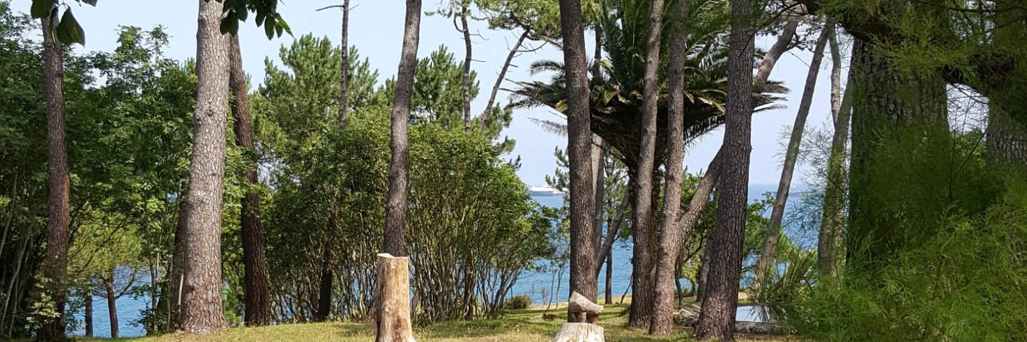 César Nombela Cano banner