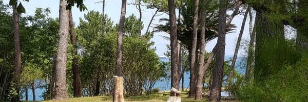 cncano Profile Banner