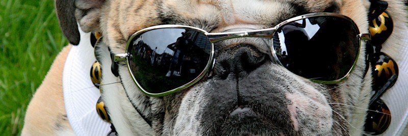 RuckusRules's profile banner image