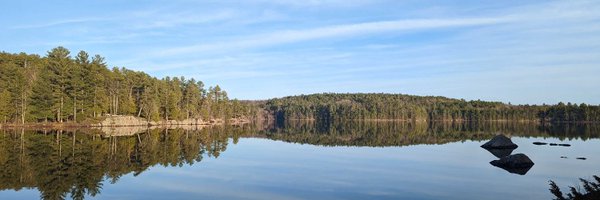 ericapisani Profile Banner