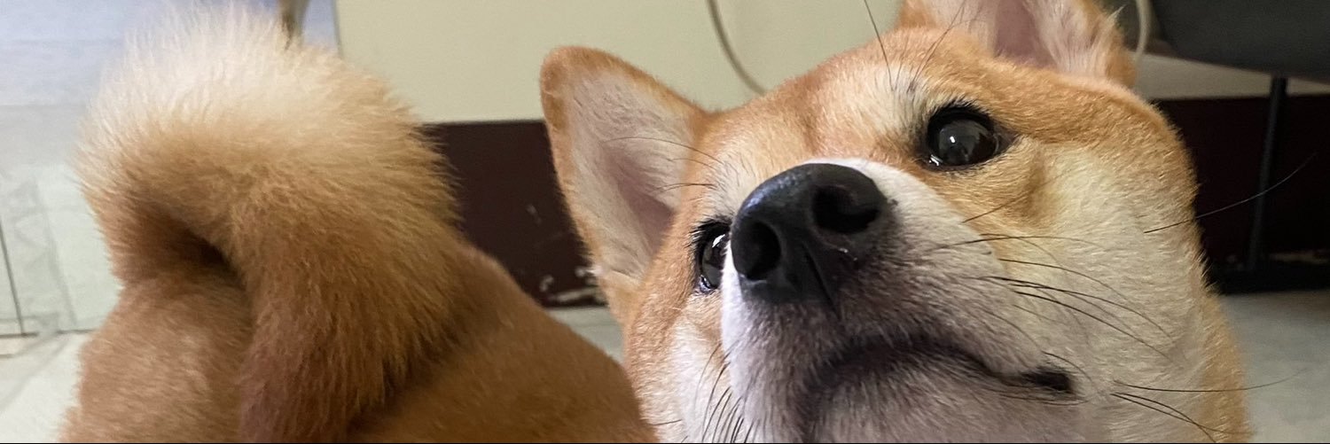 AoreoDvomeFi's profile banner image