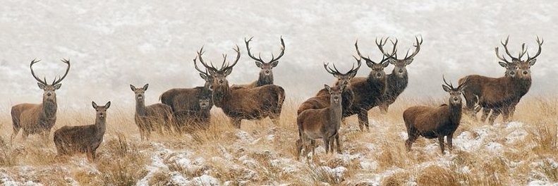 barrythehat's profile banner image