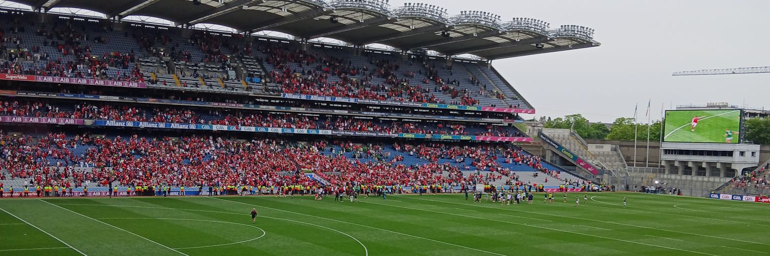 Liam Dullaghan banner