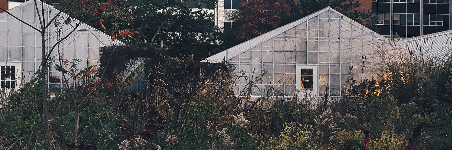 kiwi_ni's profile banner image