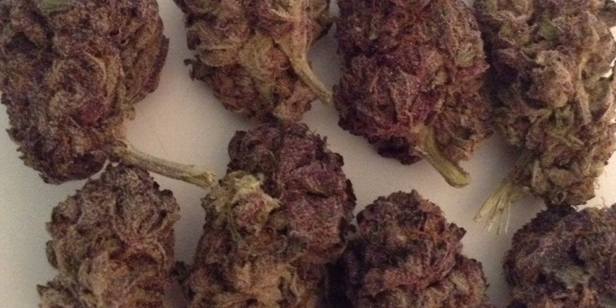 GetSoHigh1's profile banner image