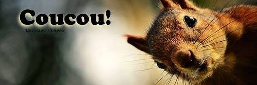 Citoyen autochtone d'Europe banner