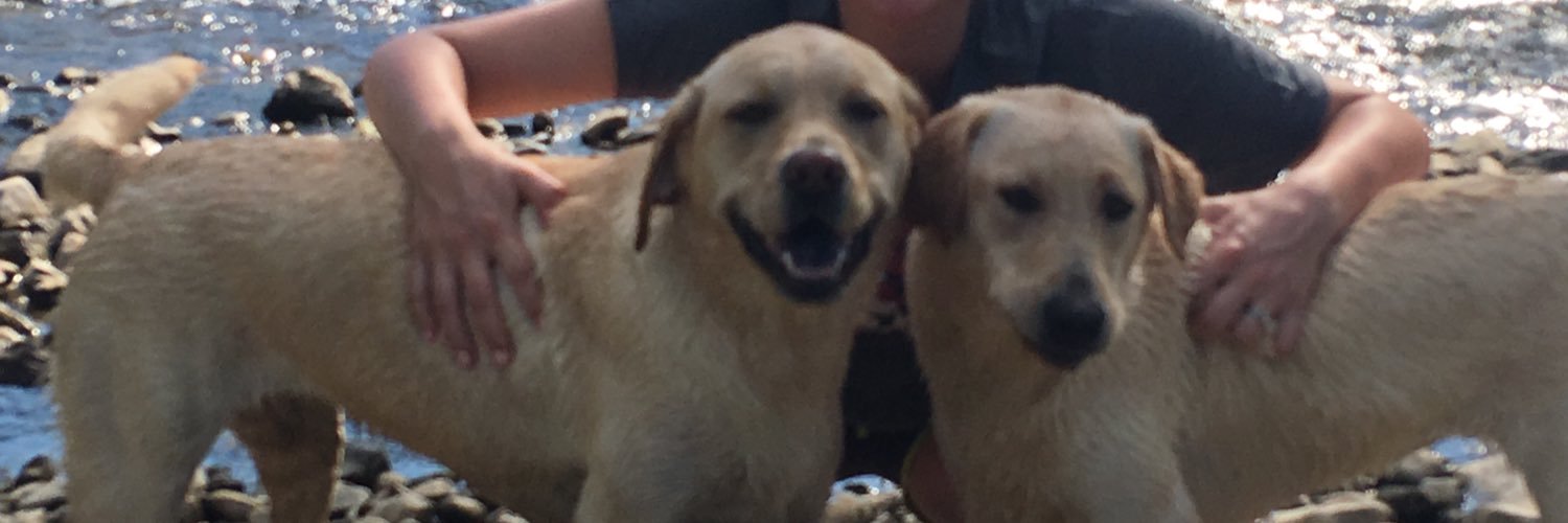 mattbarber87's profile banner image
