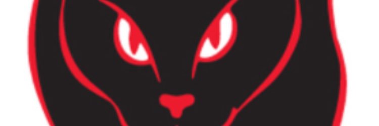 bgraysafc's profile banner image