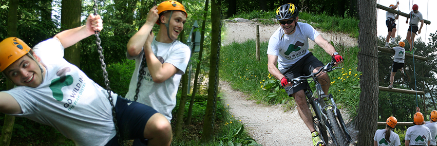 gowildin's profile banner image