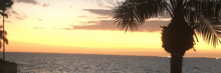 doconnell35's profile banner image