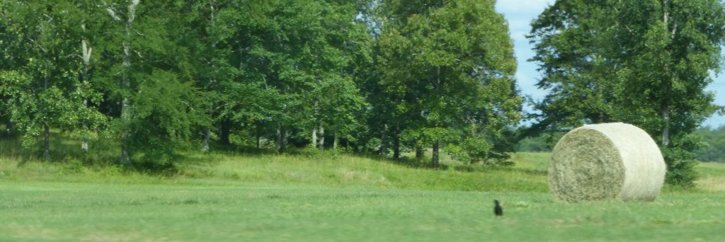ahaloed's profile banner image