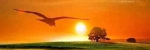 Best1doctor's profile banner image