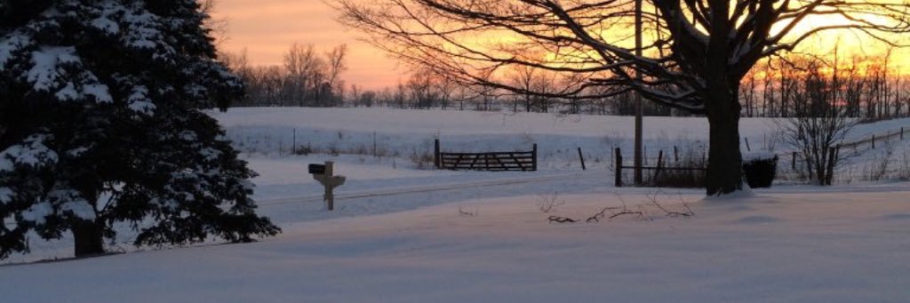 donimeyer's profile banner image