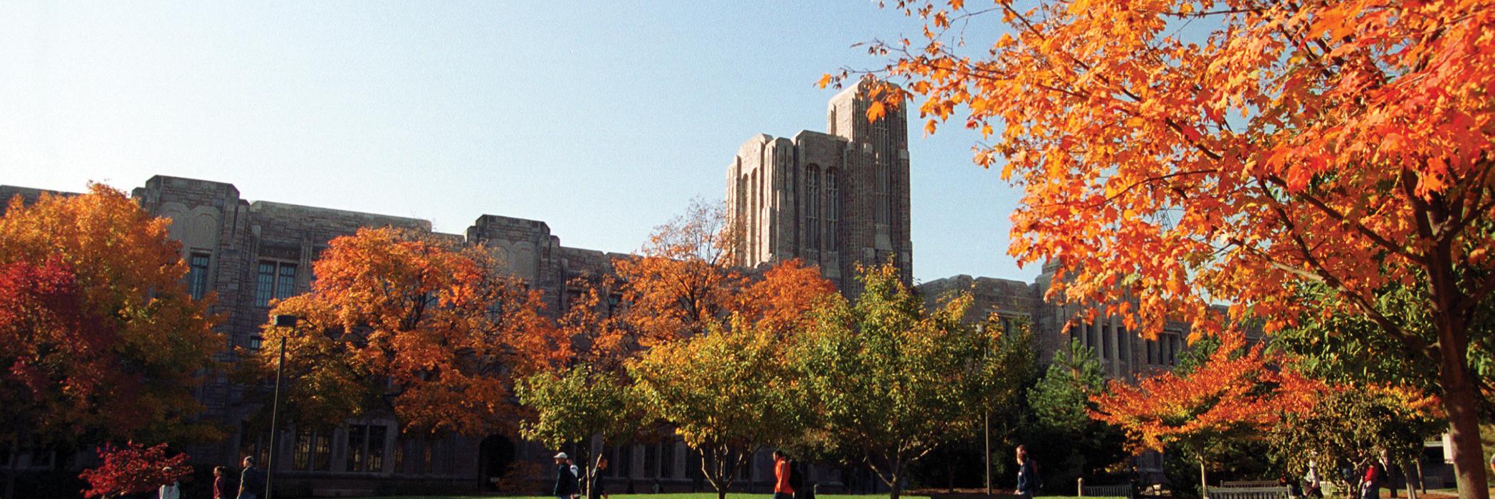 Lauren Steinbach banner