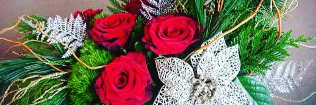 FunkyPetalsStAl's profile banner image