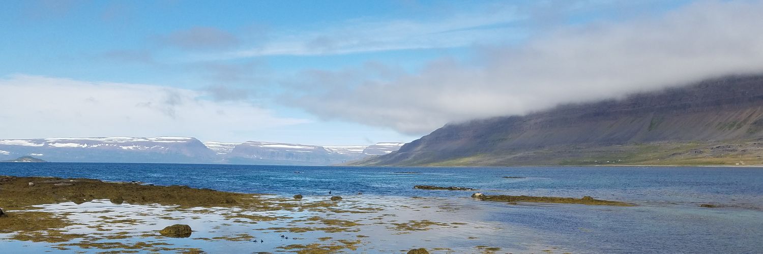 Tolkienalia's profile banner image