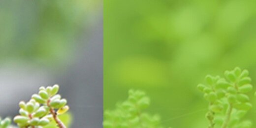 GroenLinks_GM's profile banner image