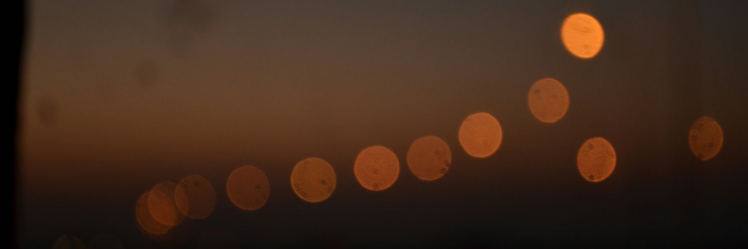Vanessa Apodaca banner