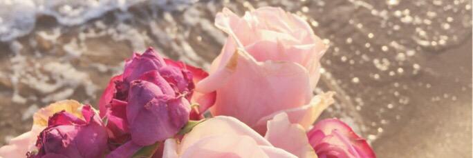 141415dal3's profile banner image