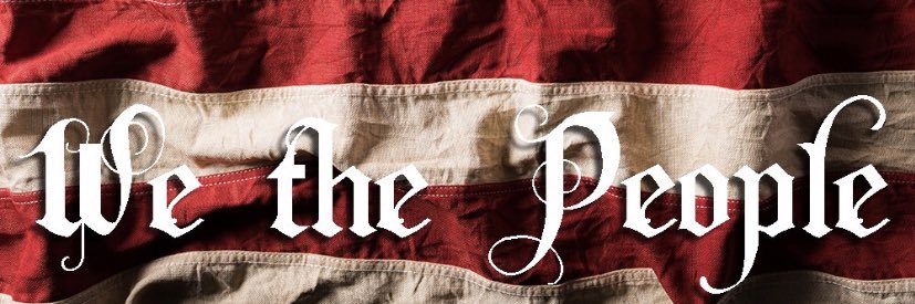 Ms. Freedom341 banner