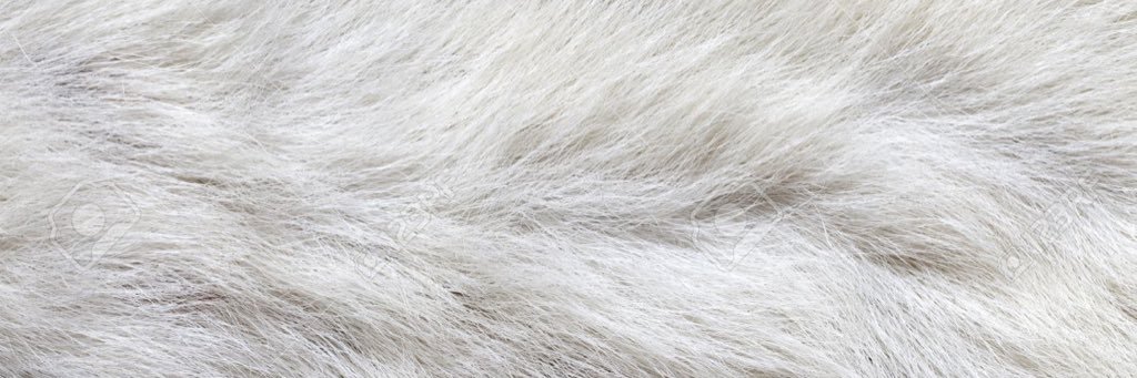 QueenBCooper's profile banner image