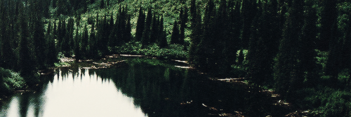 Choijvr_'s profile banner image