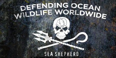 Lize Muller 🐳 banner